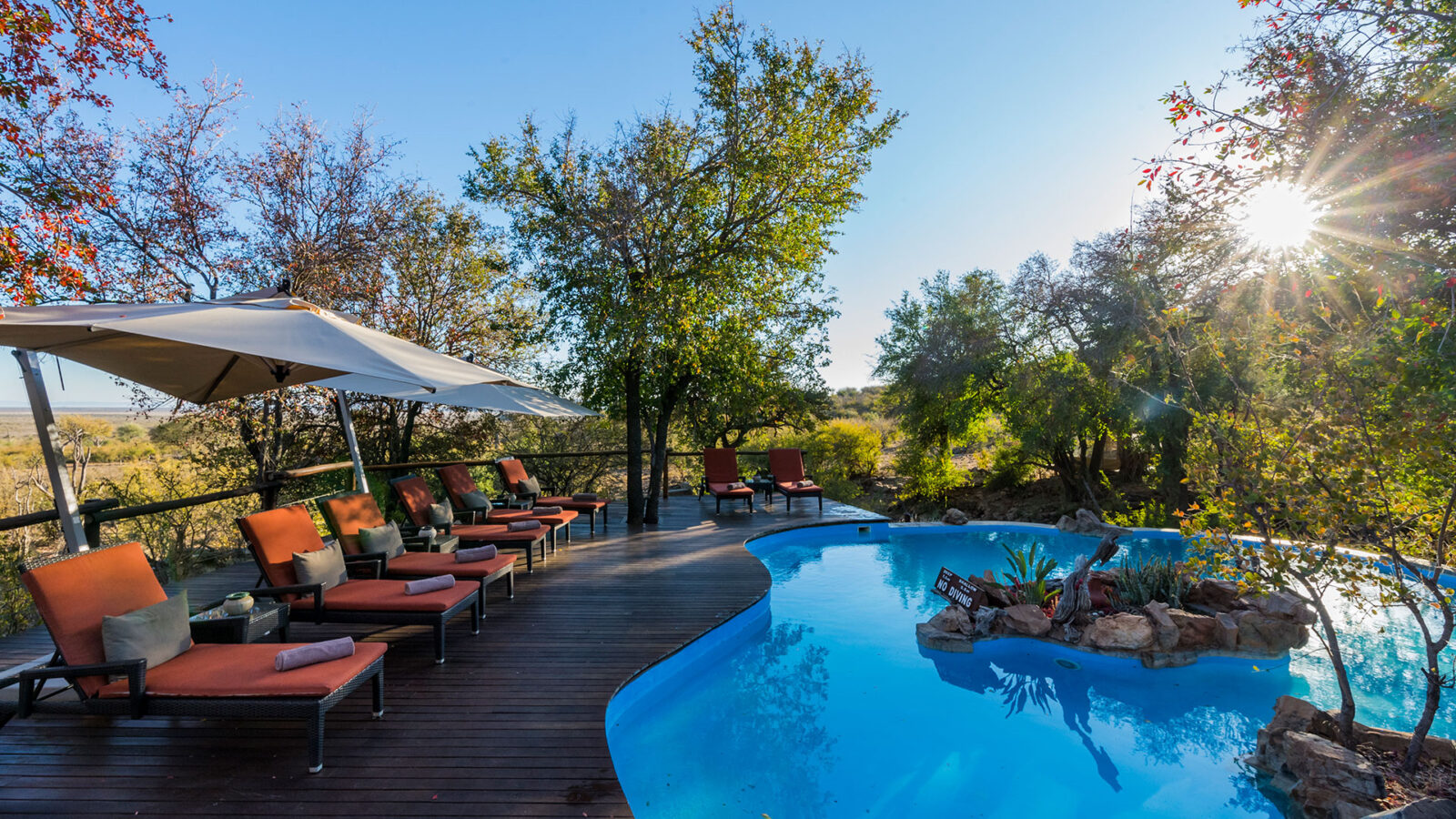 Impodimo Game Lodge Last Minute Special Swimming Pool