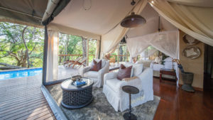 Rhino Sands Safari Camp Last Minute Special Tented Suite