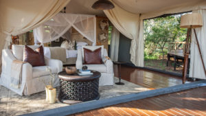 Rhino Sands Safari Camp Last Minute Special Bedroom