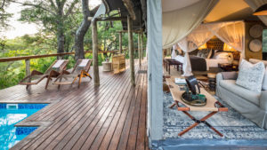 Rhino Sands Safari Camp Last Minute Special Tented Suite and Pool