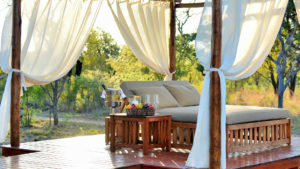 Safari Plains Last Minute Lodge Specials