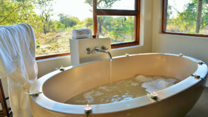 Safari Plains Last Minute Lodge Specials