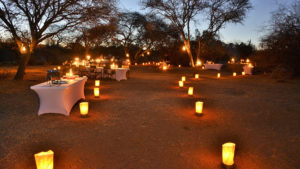 Safari Plains Last Minute Lodge Specials