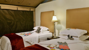 Safari Plains Last Minute Lodge Specials