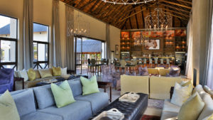 Safari Plains Last Minute Lodge Specials
