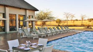 Safari Plains Last Minute Lodge Specials