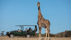 Safari Plains Last Minute Lodge Specials