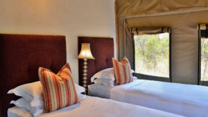 Safari Plains Last Minute Lodge Specials
