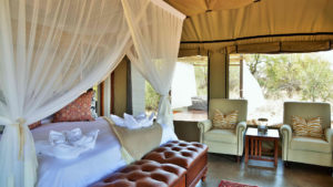 Safari Plains Last Minute Lodge Specials