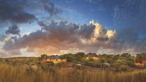 Tuningi Safari Lodge Last Minute Special Lodge from Outside