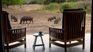 andBeyond Phinda Zuka Lodge Last Minute Lodge Specials Kwa-Zulu Natal