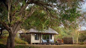 andBeyond Phinda Zuka Lodge Last Minute Lodge Specials Kwa-Zulu Natal