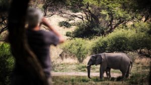 Marataba Mountain Lodge Last Minute Special Game Viewing