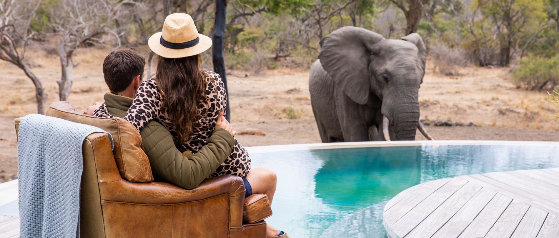 Siviti Lodge Thornybush Special Offers Local Deals for SA Residents