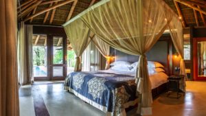 Dulini Leadwood Last Minute Specials African Decor