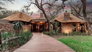 Dulini Moya Last Minute Specials Entrance