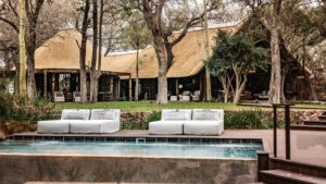 Dulini Moya Last Minute Specials Sun Loungers