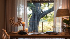 Dulini River Lodge Last Minute Specials View from Suite