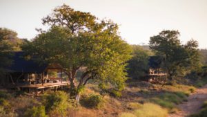 Garonga Safari Camp Last Minute Specials view
