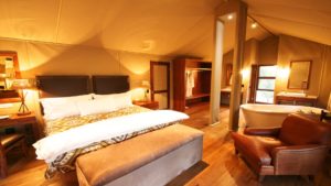 Kapama Buffalo Camp Last Minute Specials luxury accommodation in a tent