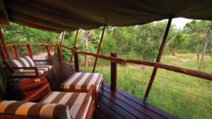 Kapama Buffalo Camp Last Minute Specials view of the bush