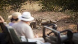 Kapama Karula Last Minute Specials Game Drives