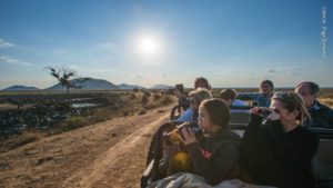 Motswiri Private Safari Lodge Last Minute Specials game drives