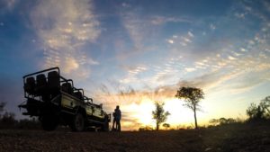 Sabi Sabi Earth Lodge Last Minute Specials sunset drives