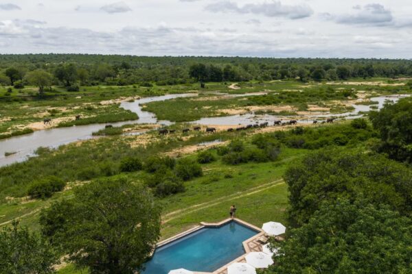 MalaMala-Camp-bush-breaks-special-offers-7