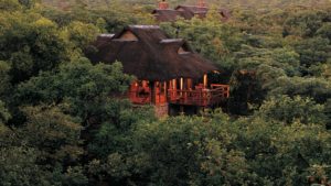 Makweti Safari Lodge Last Minute Specials view from top