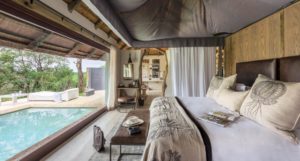 Leopard Hills Private Game Lodge Last Minute Specials design elements