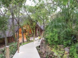 Leopard Hills Private Game Lodge Last Minute Specials walkway to suite