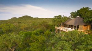 Leopard Hills Private Game Lodge Last Minute Specials lush greenery