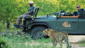 Leopard Hills Private Game Lodge Last Minute Specials leopard sighting