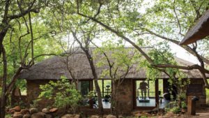 Leopard Hills Private Game Lodge Last Minute Specials Gym