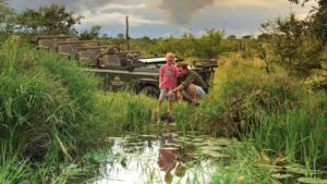 Savanna Lodge Last Minute Specials kids on Safari