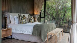 Shamwari Bayethe Tented Camp Your Perfect Africa Eastern Cape Specials