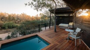 Simbambili Game Lodge Your Perfect Africa Thornybush Last Minute Lodge Specials