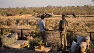 Simbambili Game Lodge Your Perfect Africa Thornybush Last Minute Lodge Specials