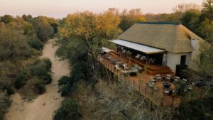 Simbambili Game Lodge Your Perfect Africa Thornybush Last Minute Lodge Specials