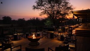 Simbambili Game Lodge Your Perfect Africa Thornybush Last Minute Lodge Specials