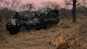 Simbambili Game Lodge Your Perfect Africa Thornybush Last Minute Lodge Specials
