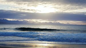 Your Perfect Africa Plettenberg Specials