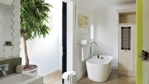 Your Perfect Africa Plettenberg Specials