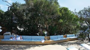 Your Perfect Africa Plettenberg Specials