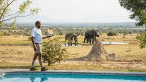 Walkers Plains Camp Your Perfect Africa Mpumalanga Greater Kruger Specials