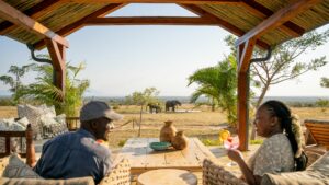 Walkers Plains Camp Your Perfect Africa Mpumalanga Greater Kruger Specials