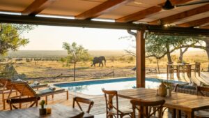 Walkers Plains Camp Your Perfect Africa Mpumalanga Greater Kruger Specials