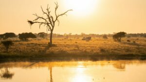Walkers Plains Camp Your Perfect Africa Mpumalanga Greater Kruger Specials